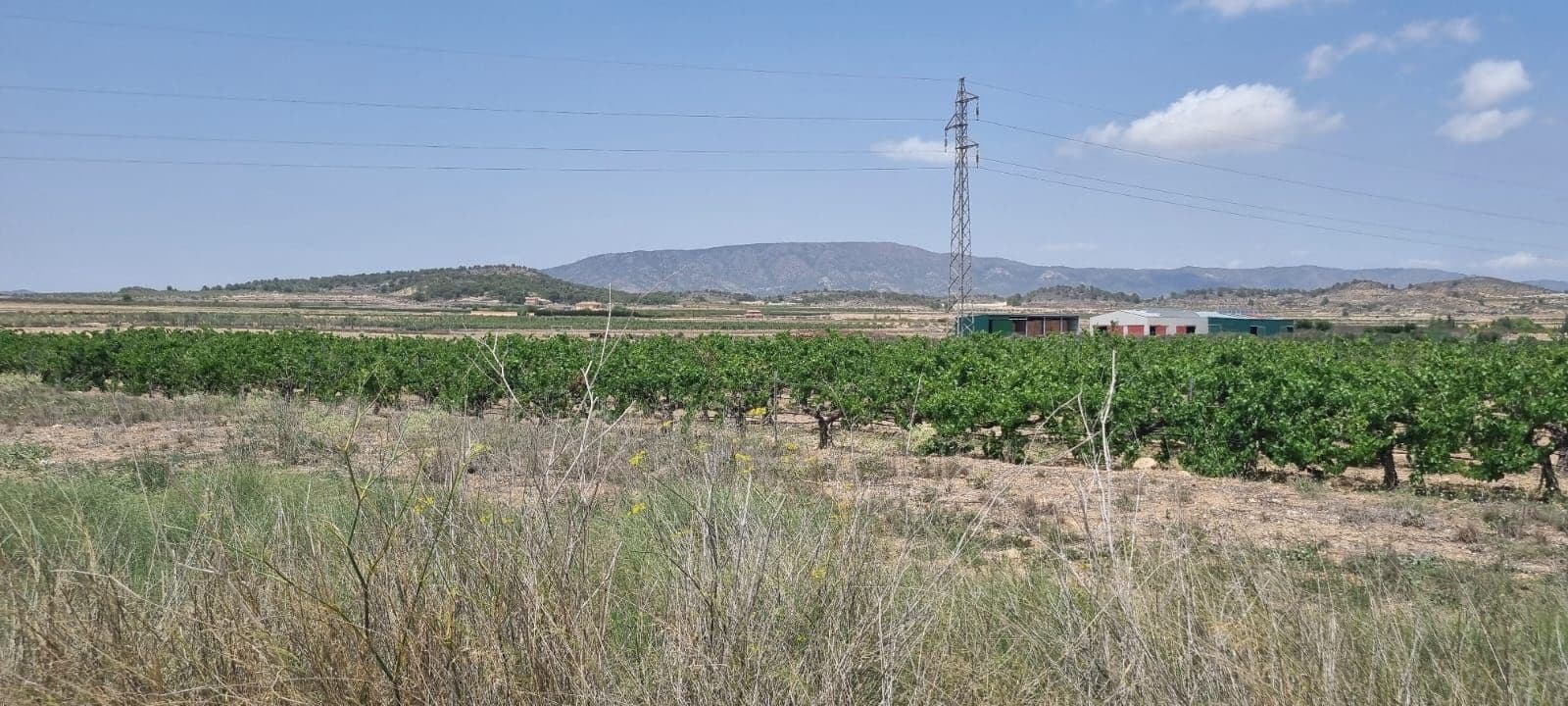 Undeveloped Land for sale in Pinoso - € 85,995 (Ref: 8575298)