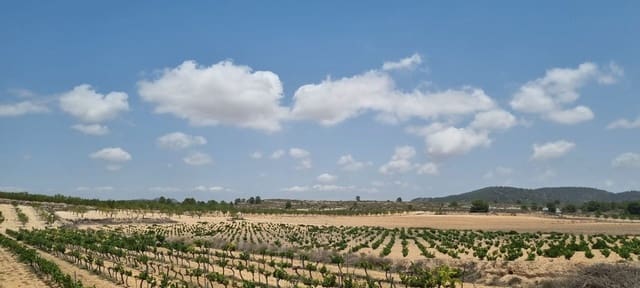 Mark till salu i Pinoso - 14 995 € (Ref: 8575300)
