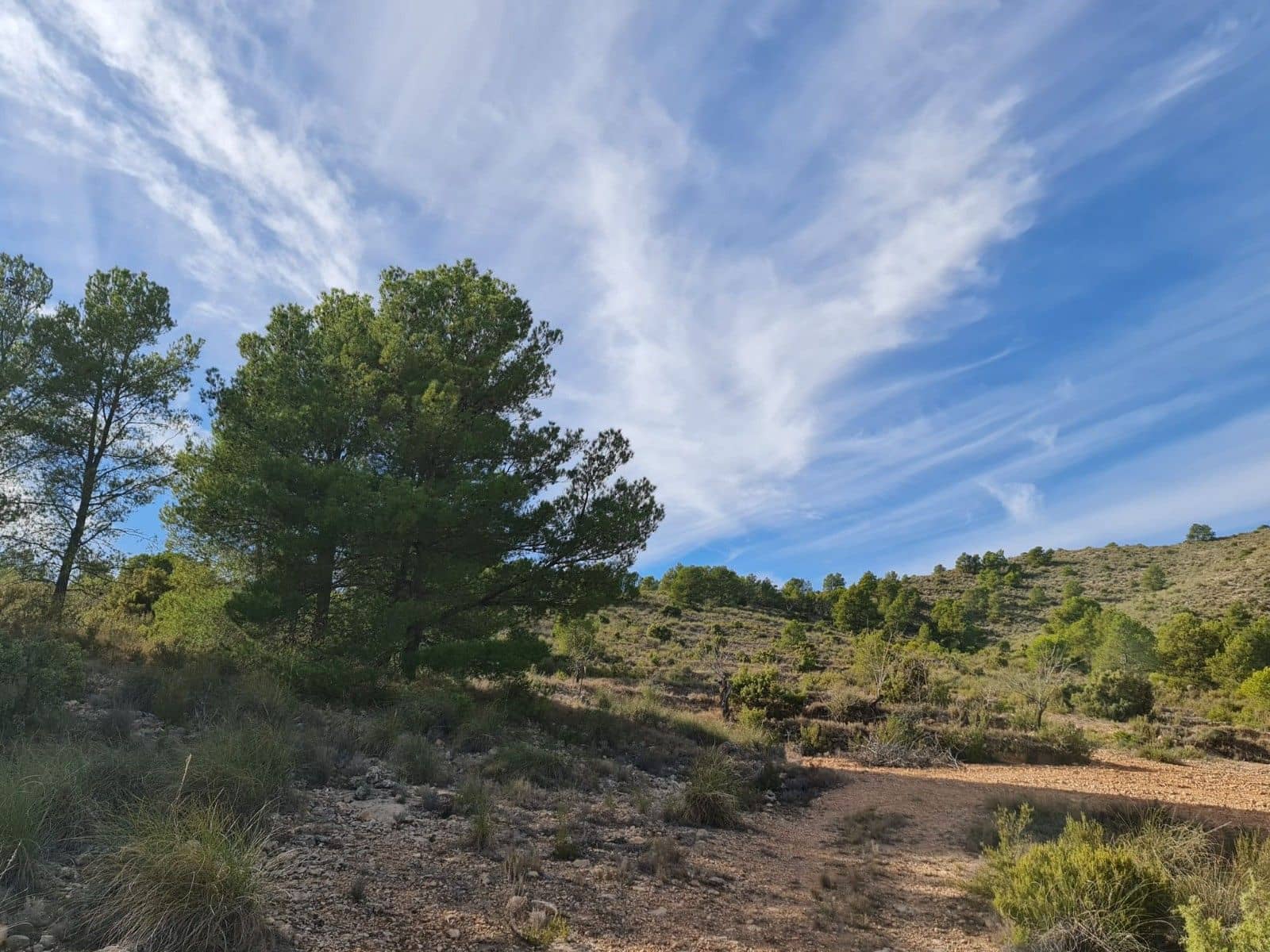 Undeveloped Land for sale in Raspay - € 9,995 (Ref: 8575302)