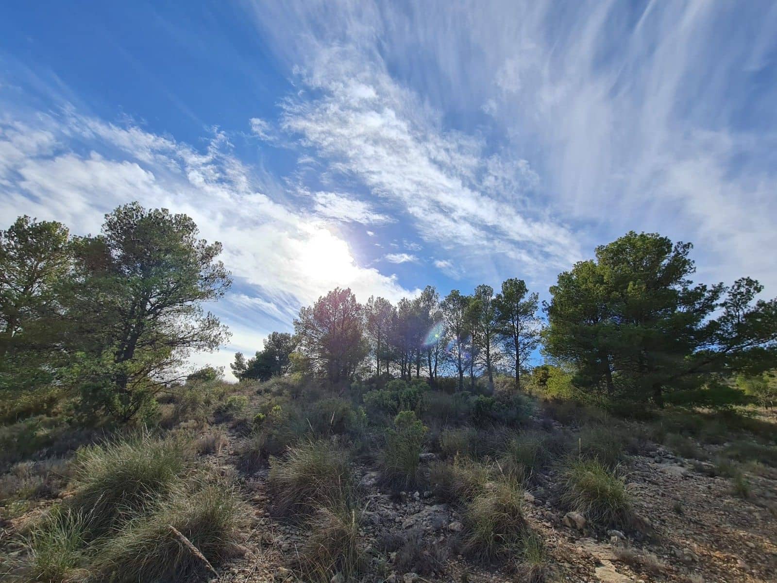 Undeveloped Land for sale in Raspay - € 9,995 (Ref: 8575302)