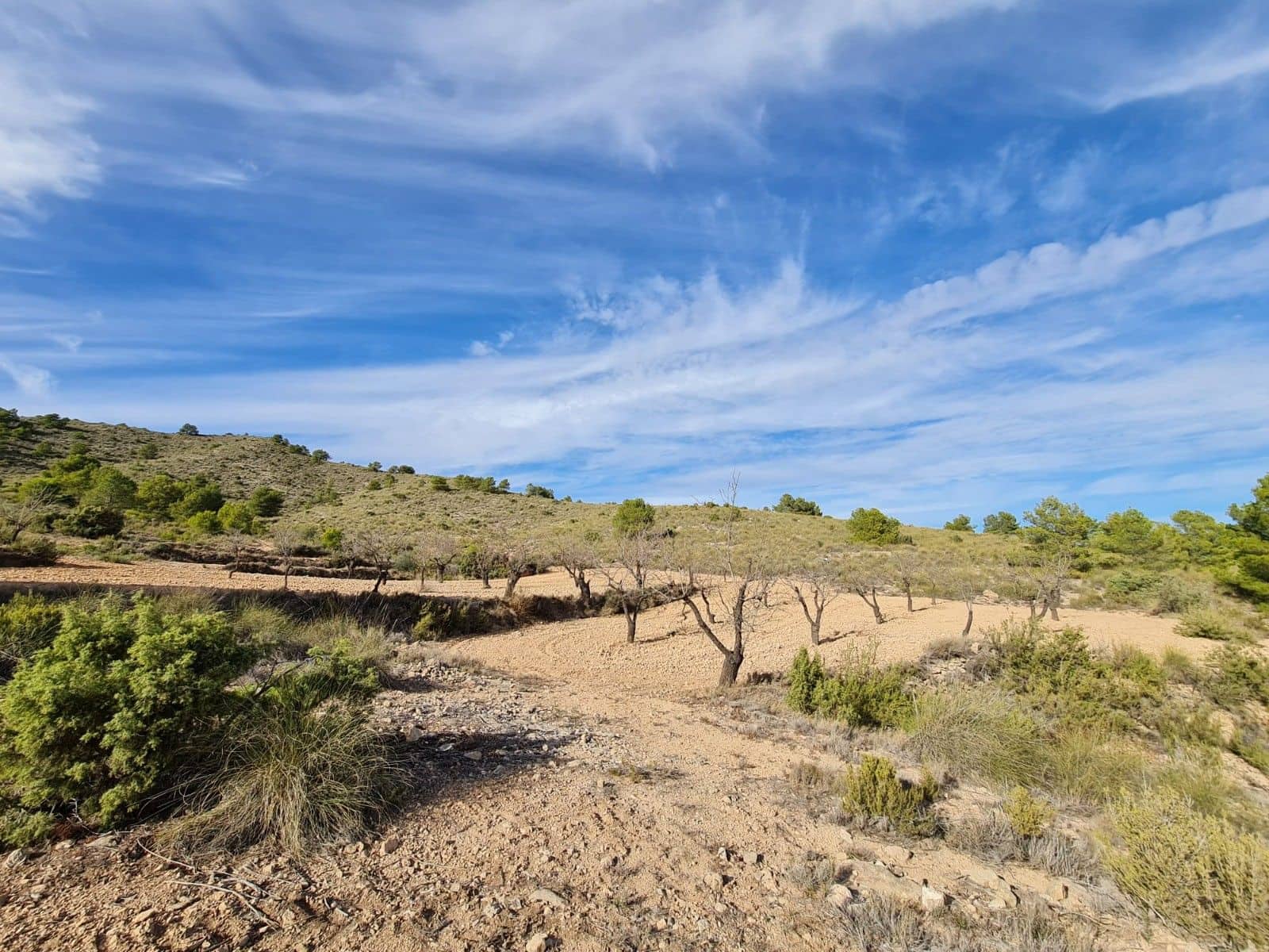 Undeveloped Land for sale in Raspay - € 9,995 (Ref: 8575302)