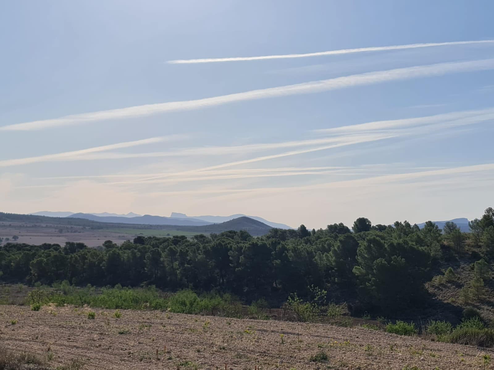 Undeveloped Land for sale in Raspay - € 62,995 (Ref: 8592079)