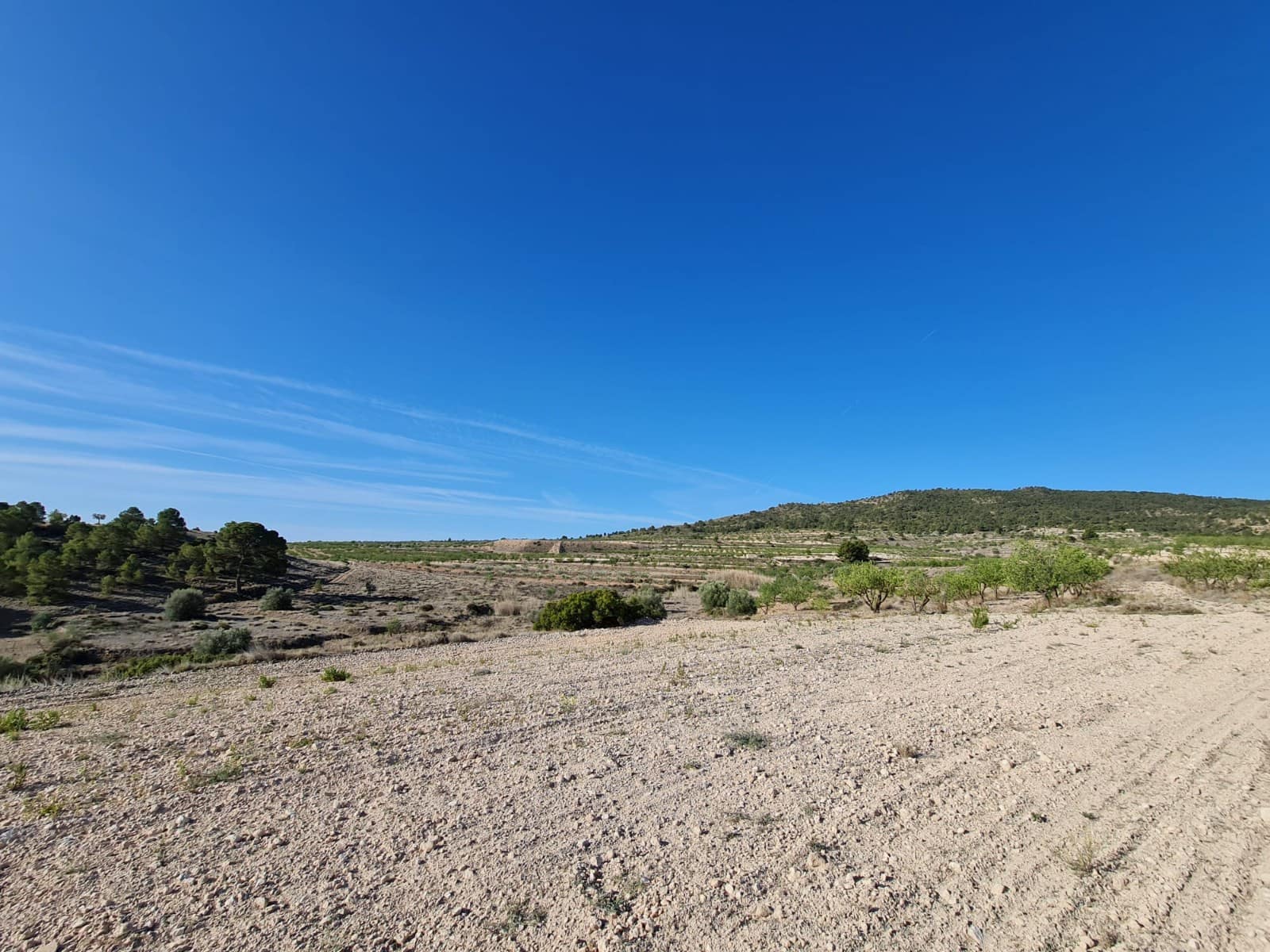 Undeveloped Land for sale in Raspay - € 62,995 (Ref: 8592079)