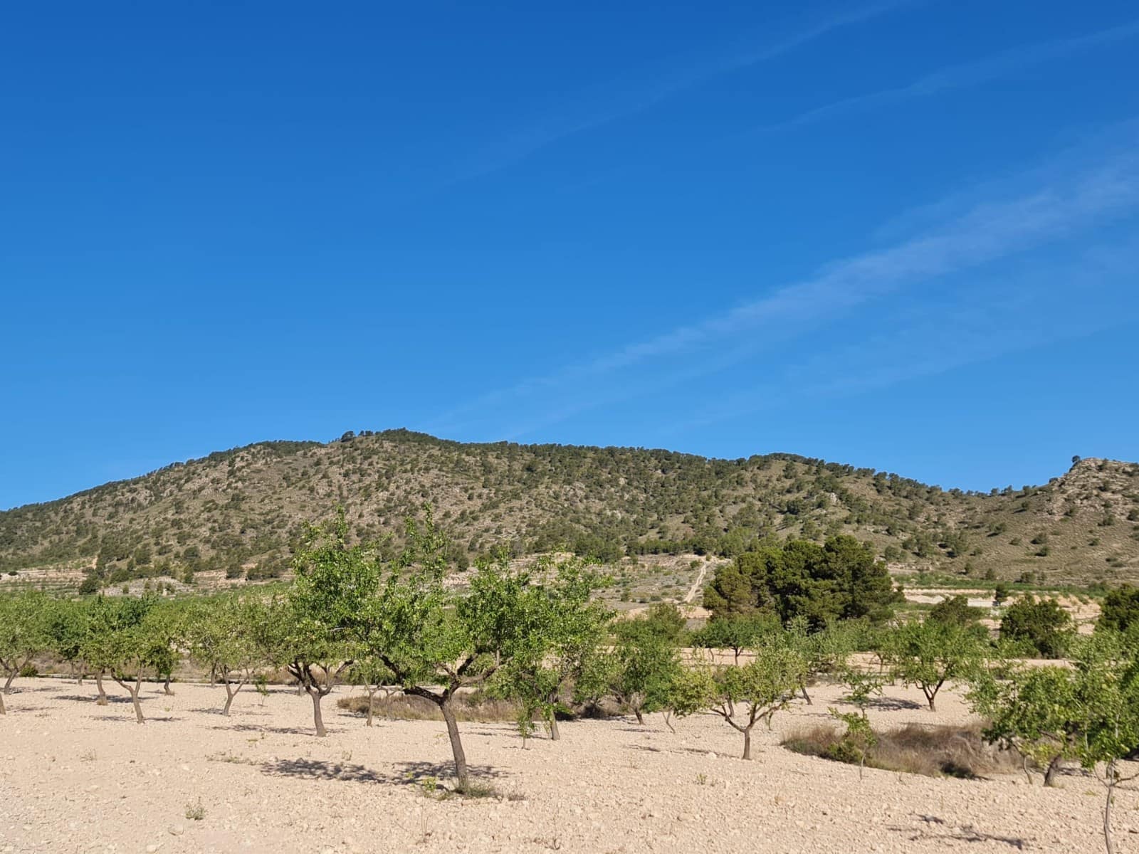 Undeveloped Land for sale in Raspay - € 62,995 (Ref: 8592079)