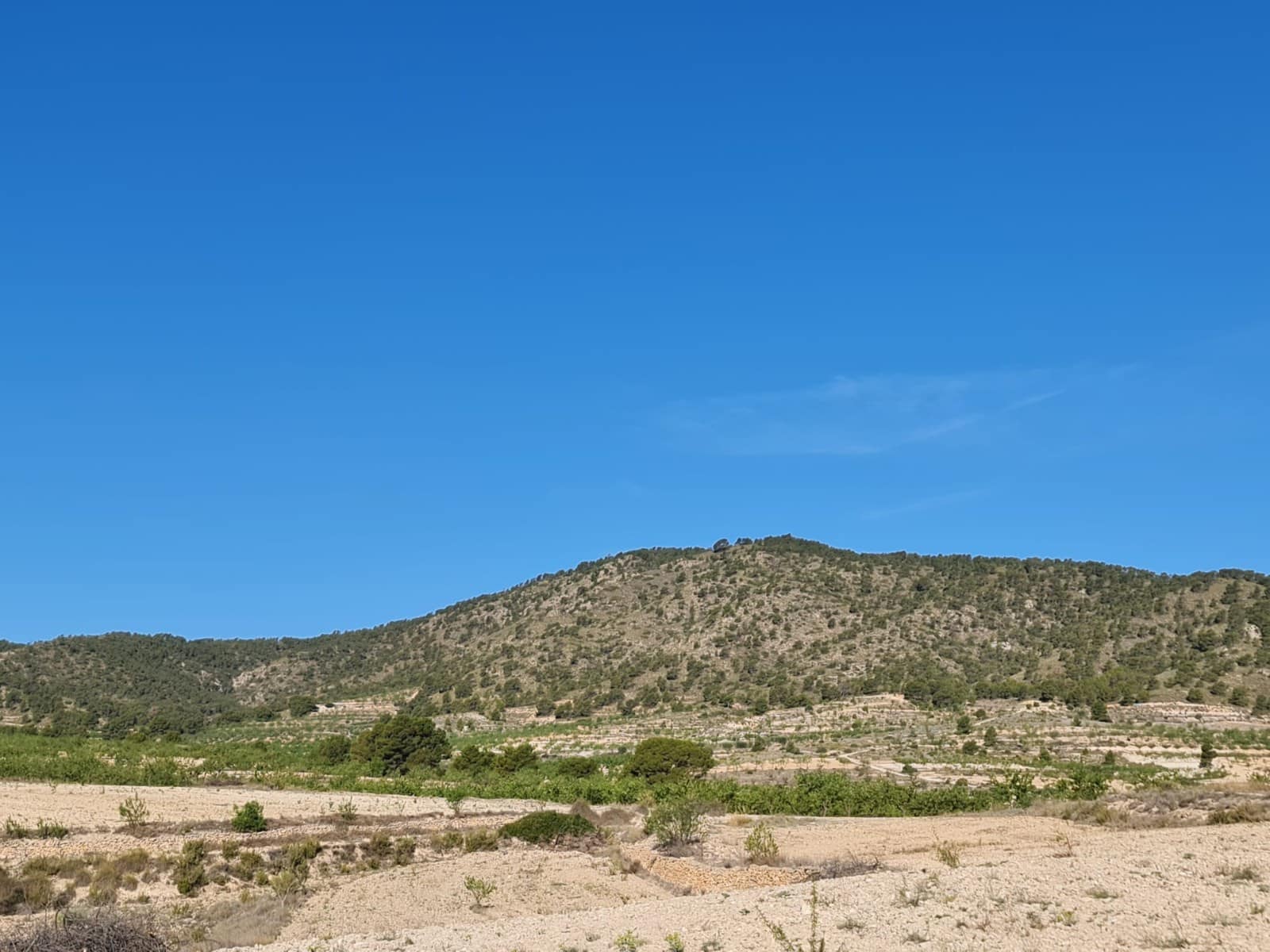 Undeveloped Land for sale in Raspay - € 62,995 (Ref: 8592079)