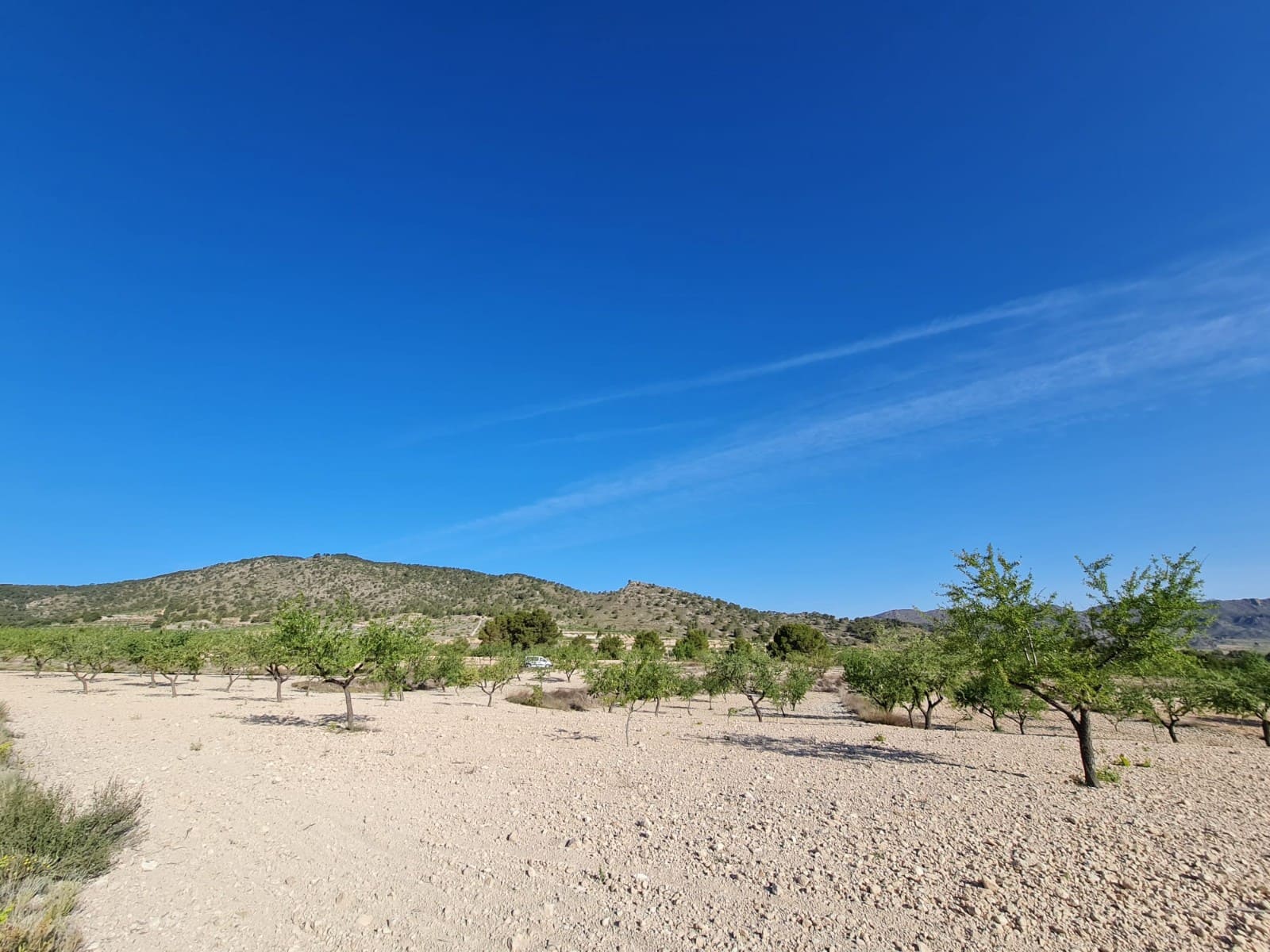 Undeveloped Land for sale in Raspay - € 62,995 (Ref: 8592079)