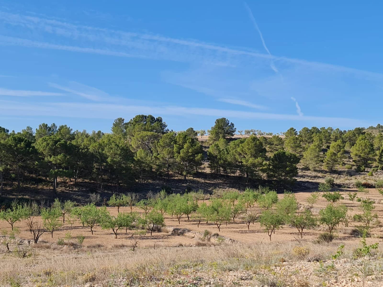 Undeveloped Land for sale in Raspay - € 62,995 (Ref: 8592079)