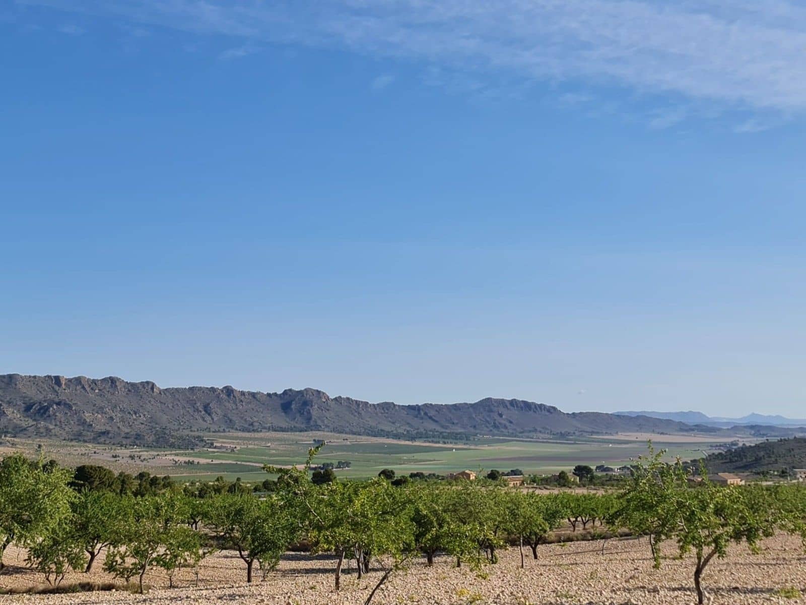 Undeveloped Land for sale in Raspay - € 62,995 (Ref: 8592079)