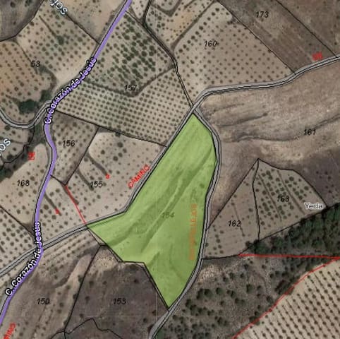 Undeveloped Land for sale in Raspay, Yecla - € 25,995 (Ref: 8592080)