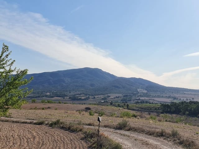 Undeveloped Land for sale in Raspay, Yecla - € 25,995 (Ref: 8592080)
