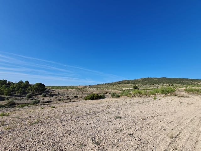 Undeveloped Land for sale in Raspay, Yecla - € 25,995 (Ref: 8592080)