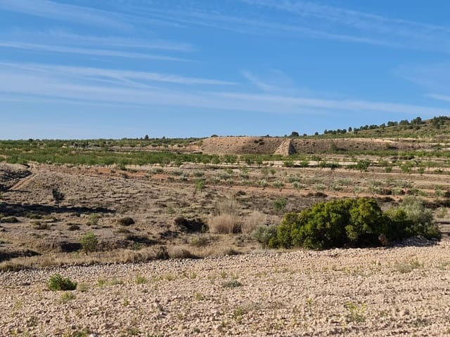 Undeveloped Land for sale in Raspay, Yecla - € 25,995 (Ref: 8592080)