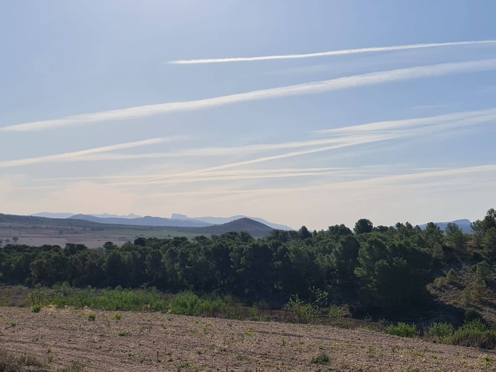 Undeveloped Land for sale in Raspay - € 25,995 (Ref: 8592080)