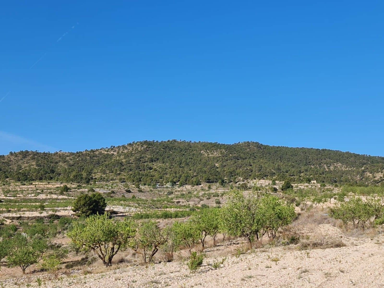 Undeveloped Land for sale in Raspay - € 25,995 (Ref: 8592080)