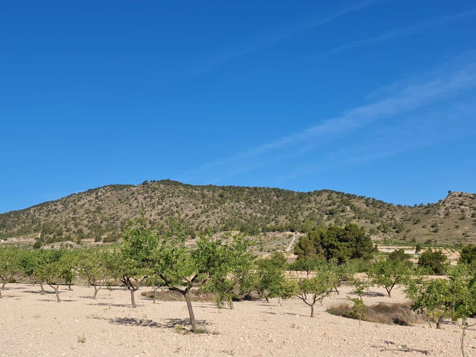 Undeveloped Land for sale in Raspay - € 25,995 (Ref: 8592080)