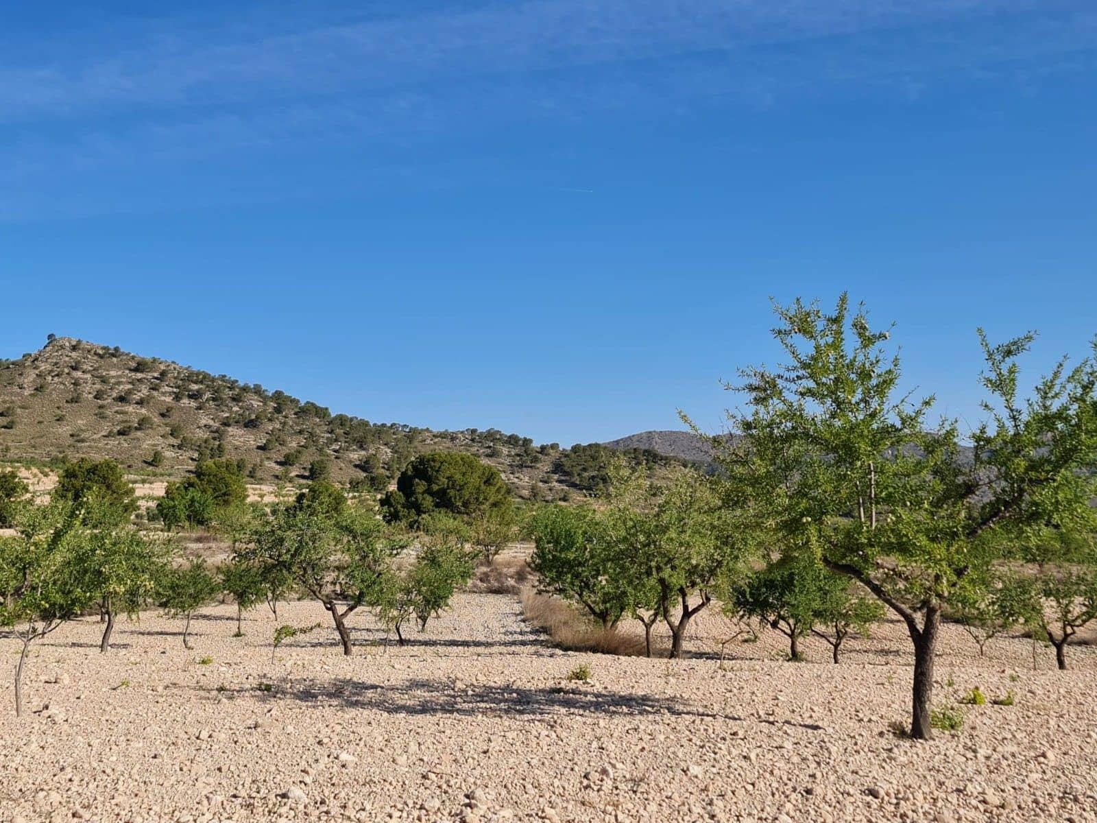 Undeveloped Land for sale in Raspay - € 25,995 (Ref: 8592080)