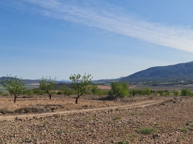 Undeveloped Land for sale in Raspay, Yecla - € 41,995 (Ref: 8592086)