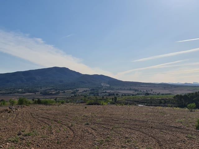 Undeveloped Land for sale in Raspay, Yecla - € 41,995 (Ref: 8592086)
