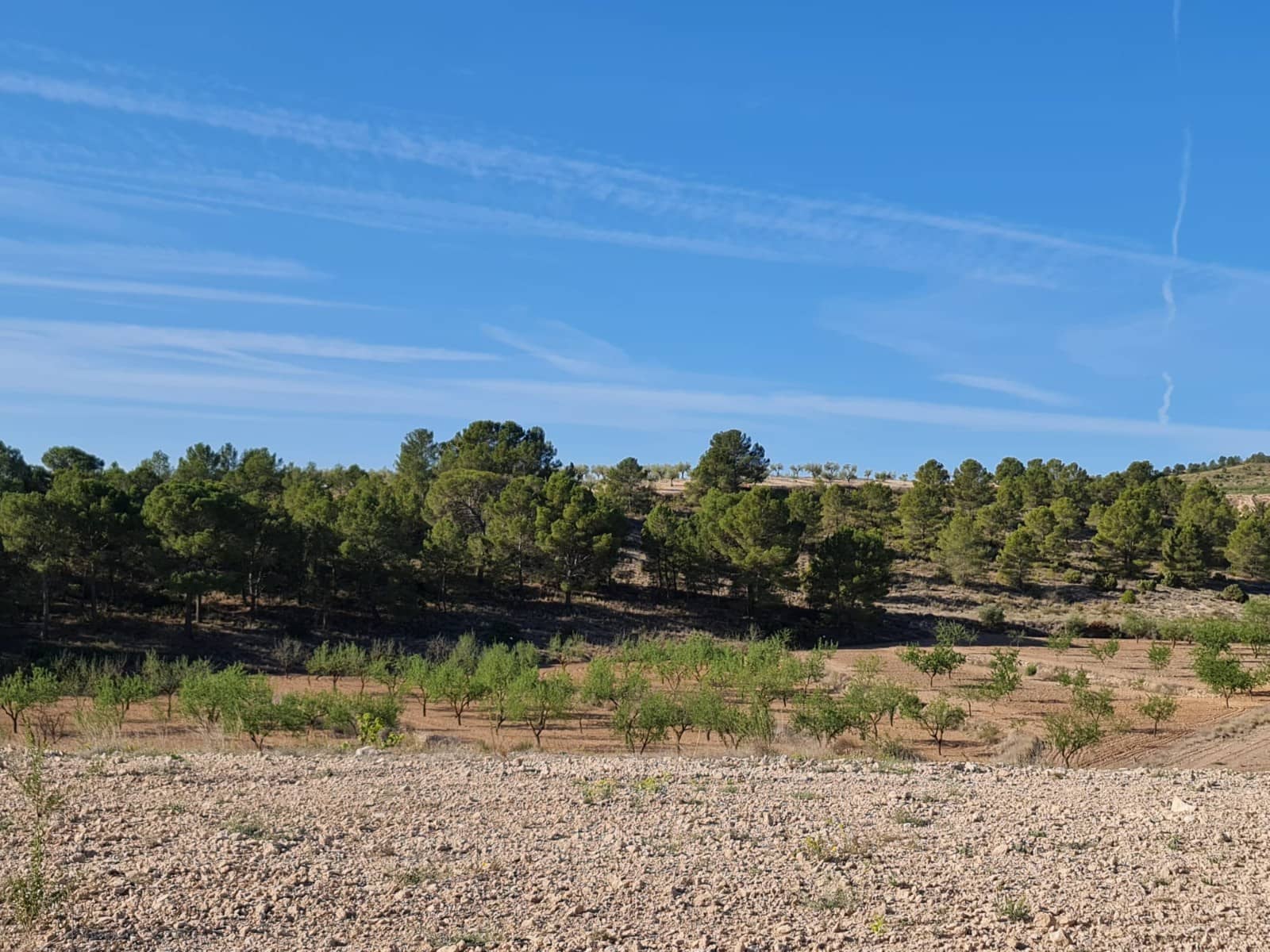 Undeveloped Land for sale in Raspay - € 41,995 (Ref: 8592086)