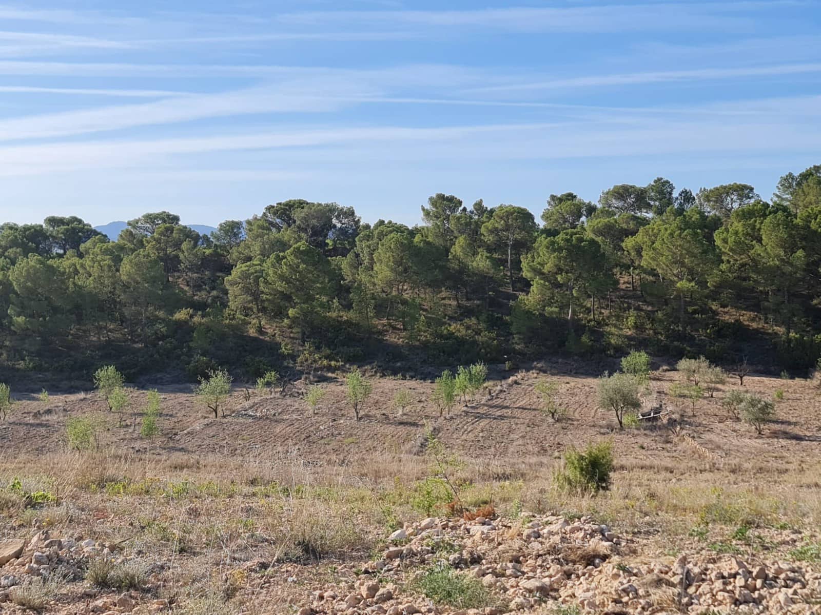 Undeveloped Land for sale in Raspay - € 41,995 (Ref: 8592086)