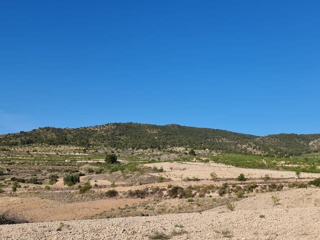 Undeveloped Land for sale in Raspay, Yecla - € 41,995 (Ref: 8592086)