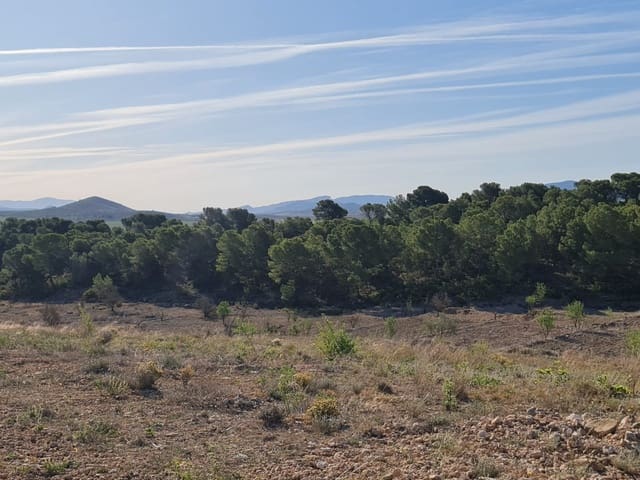 Undeveloped Land for sale in Raspay, Yecla - € 41,995 (Ref: 8592086)