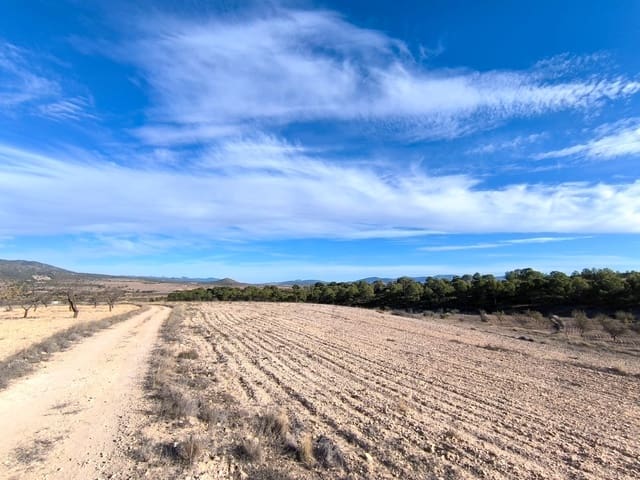 Undeveloped Land for sale in Raspay, Yecla - € 41,995 (Ref: 8592086)