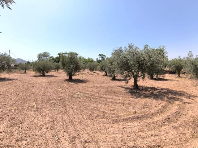 5 bedroom Villa for sale in Jumilla - € 159,000 (Ref: 8646914)