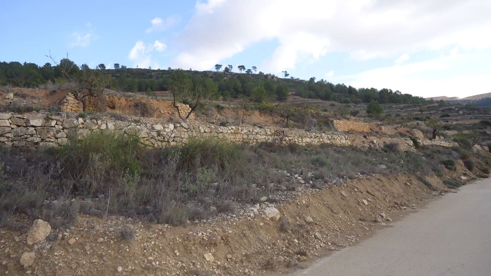 Undeveloped Land for sale in Pinoso - € 14,500 (Ref: 8647073)