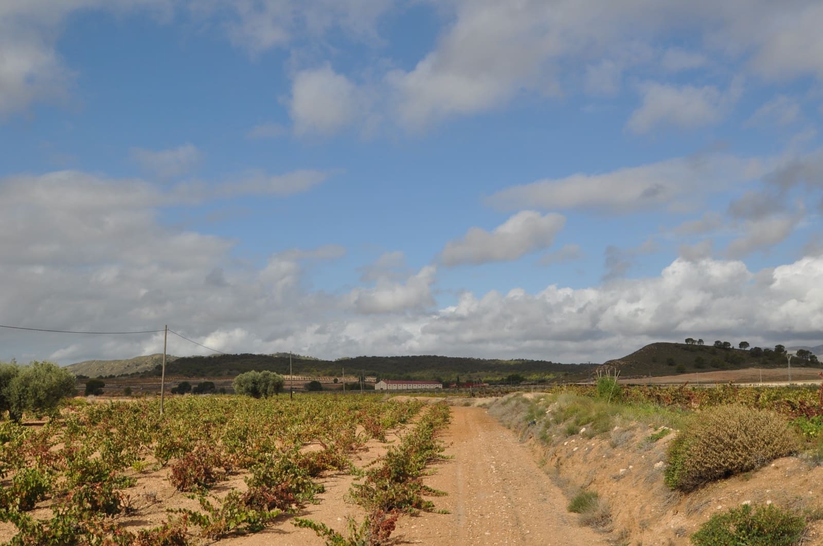 Garage zu verkaufen in Jumilla - 70.000 € (Ref: 8654173)