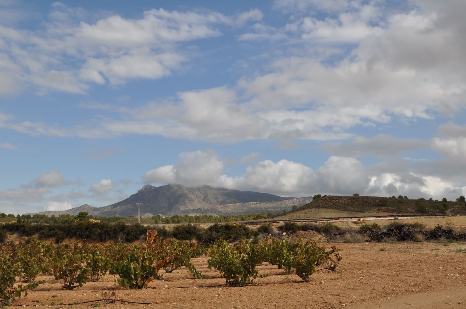 Garage zu verkaufen in Jumilla - 70.000 € (Ref: 8654173)