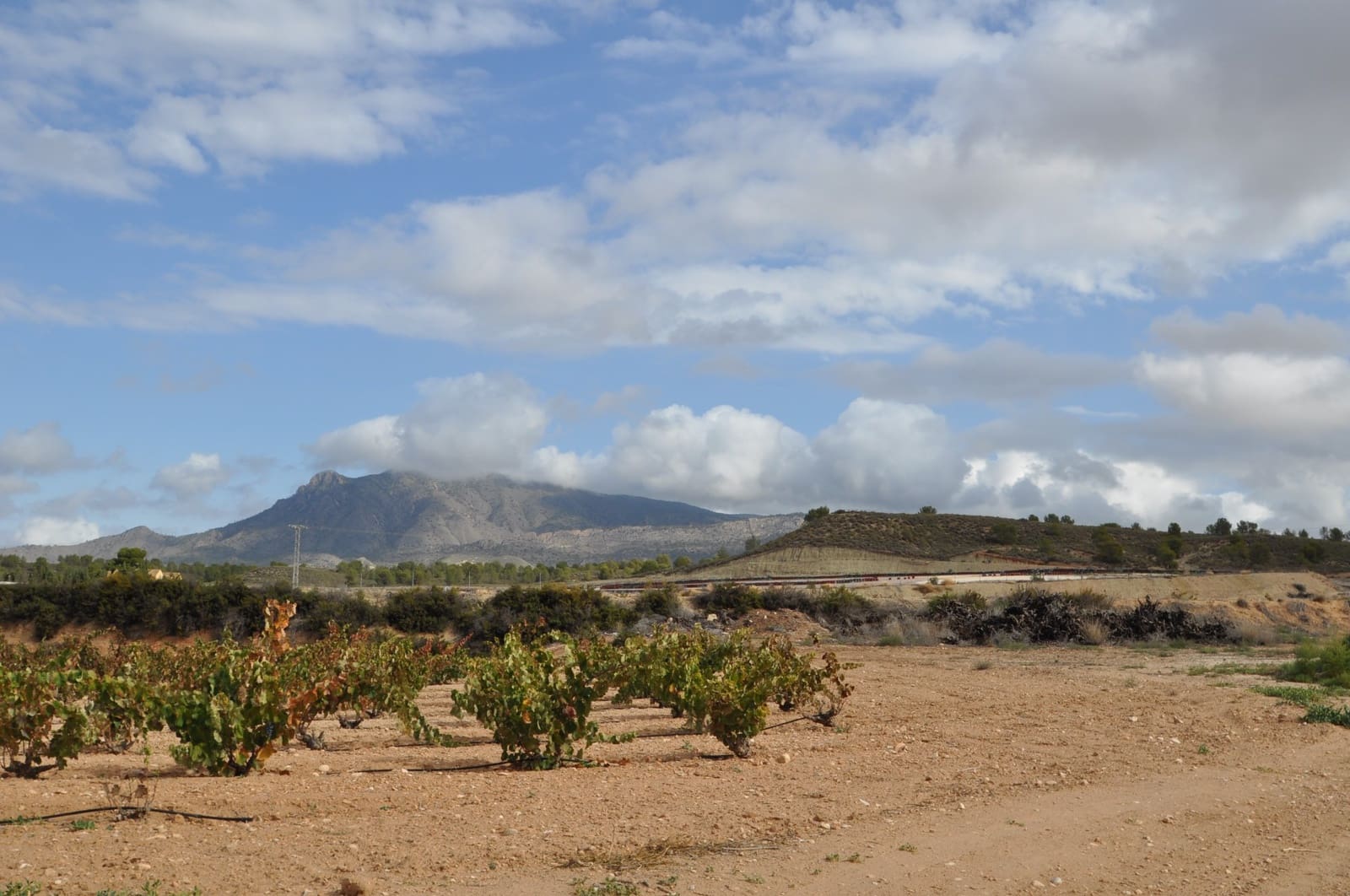 Garage zu verkaufen in Jumilla - 70.000 € (Ref: 8654173)