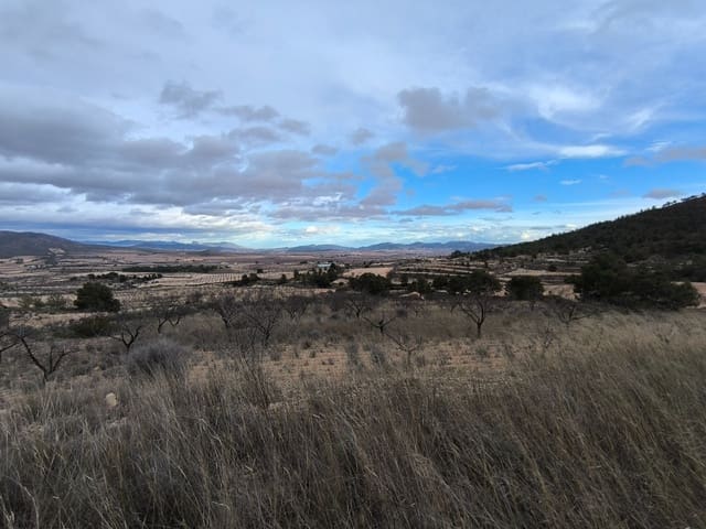 Grunde uden byggetilladelser til salg i Raspay, Yecla - € 17.000 (Ref: 8662209)