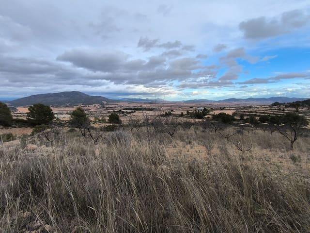 Grunde uden byggetilladelser til salg i Raspay, Yecla - € 17.000 (Ref: 8662209)