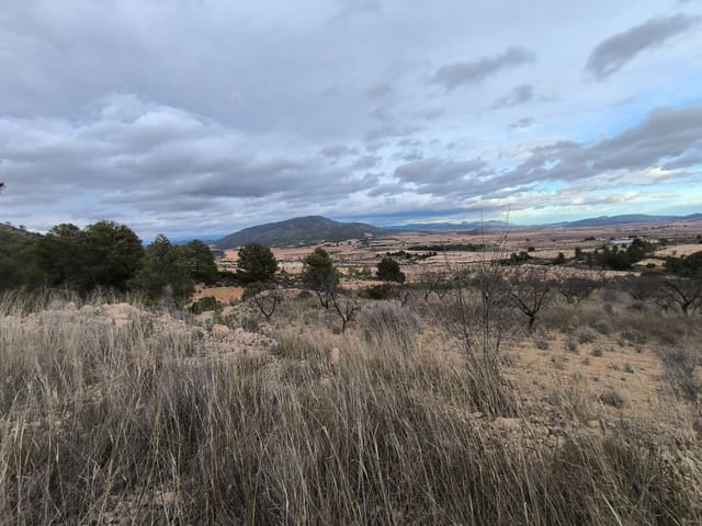 Grunde uden byggetilladelser til salg i Raspay, Yecla - € 17.000 (Ref: 8662209)