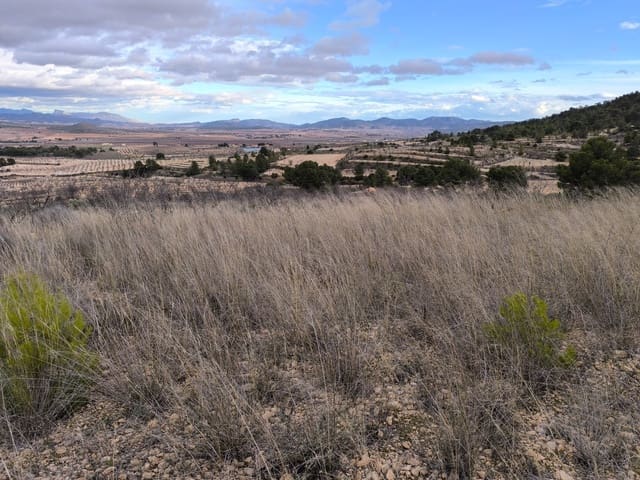 Grunde uden byggetilladelser til salg i Raspay, Yecla - € 17.000 (Ref: 8662209)