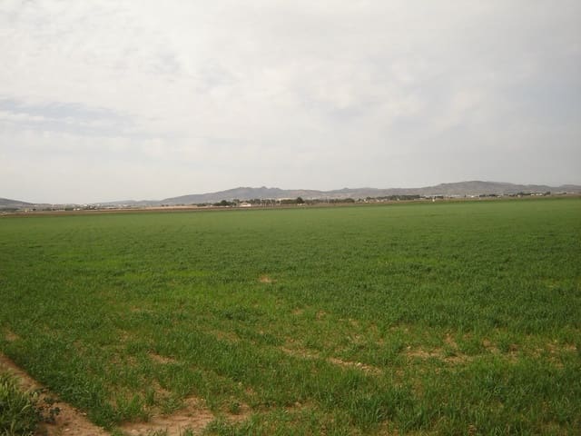 Terre non Aménagée à vendre à Yecla - 450 000 € (Ref: 8689892)