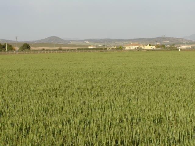 Terre non Aménagée à vendre à Yecla - 450 000 € (Ref: 8689892)
