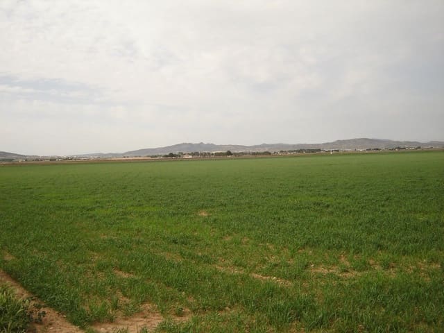 Terre non Aménagée à vendre à Yecla - 450 000 € (Ref: 8689892)