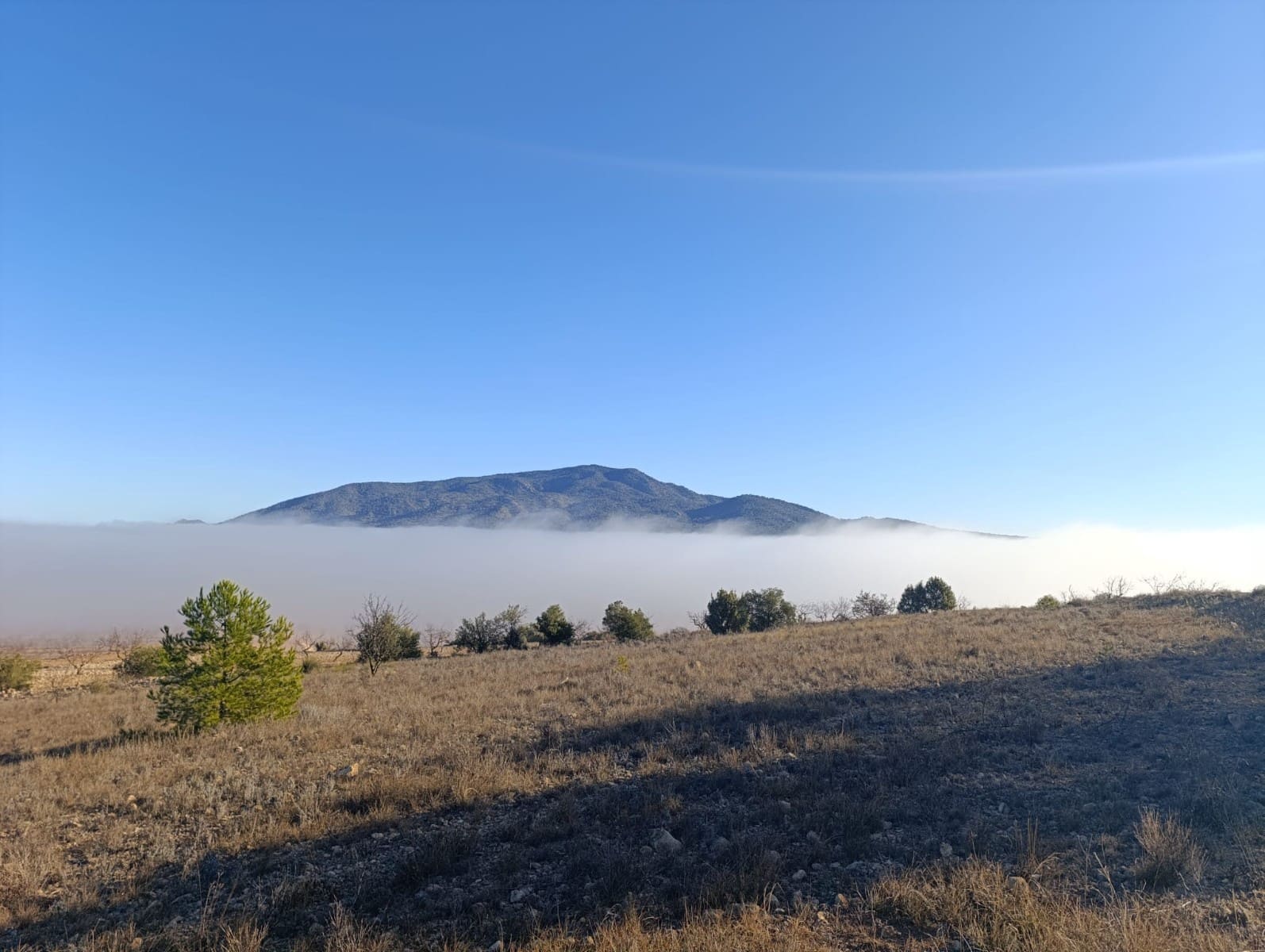 Grunde uden byggetilladelser til salg i Raspay - € 17.500 (Ref: 8742741)