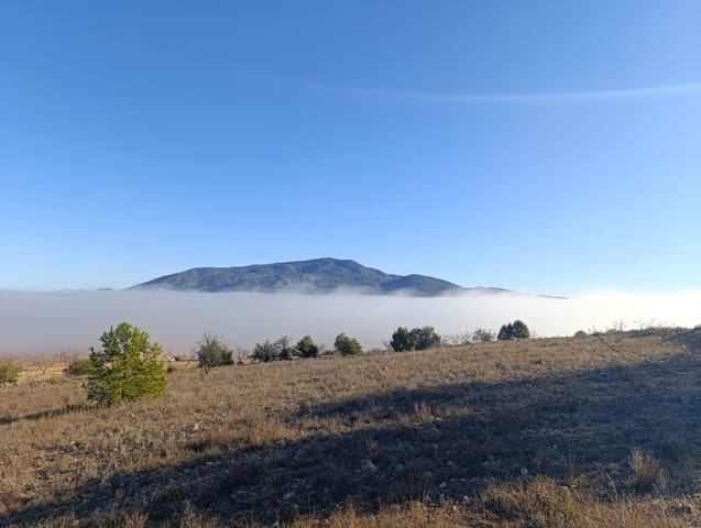 Mark till salu i Raspay, Yecla - 17 500 € (Ref: 8742741)