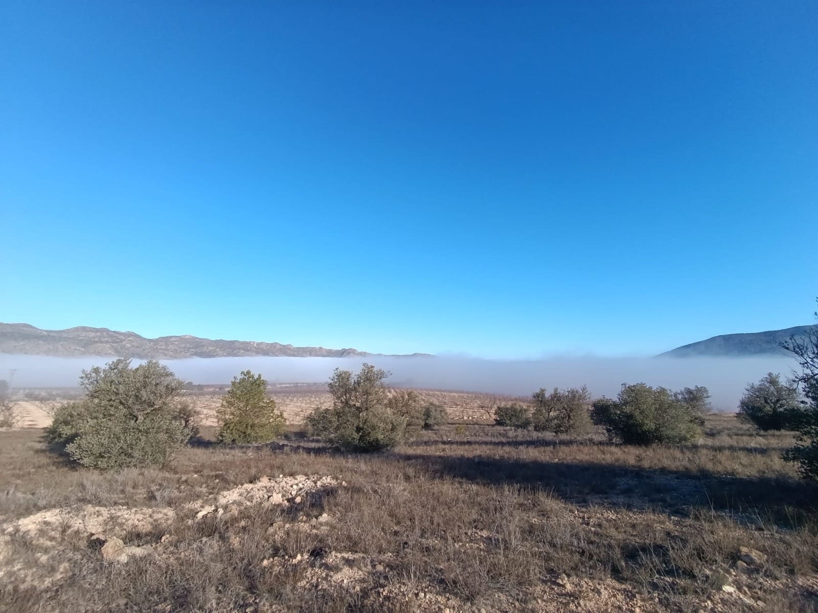 Grunde uden byggetilladelser til salg i Raspay - € 17.500 (Ref: 8742741)