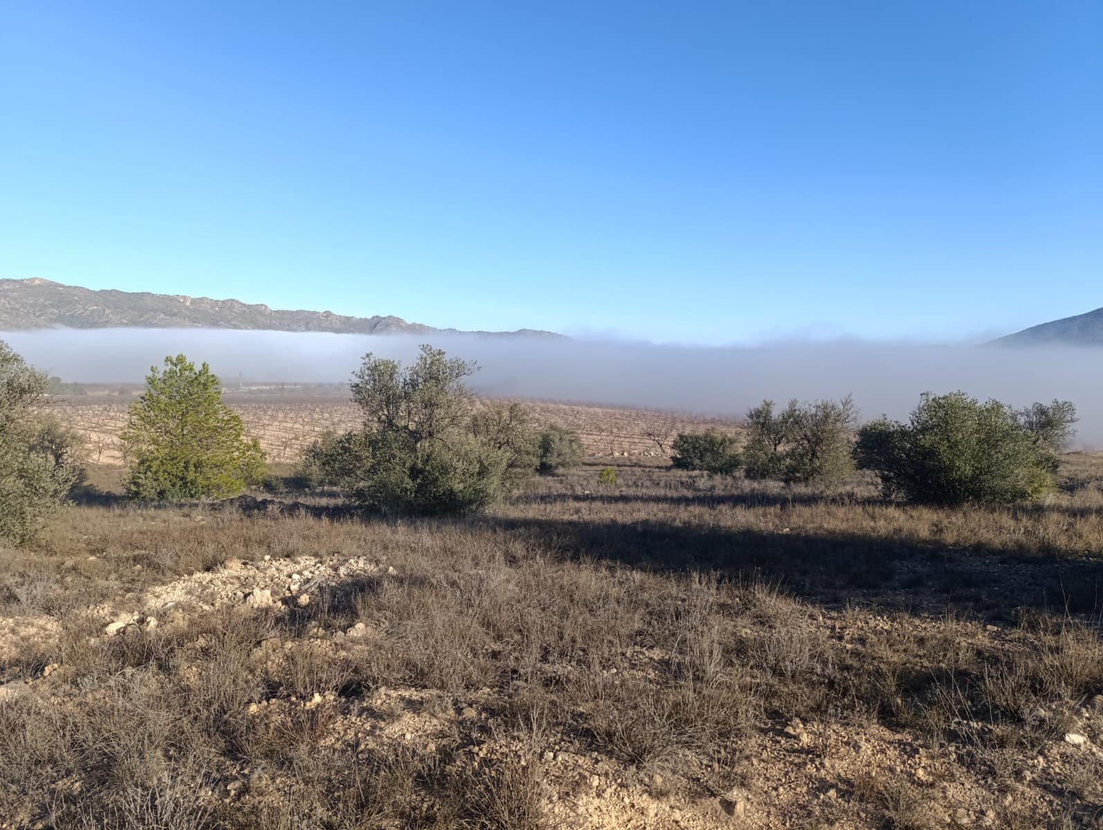 Grunde uden byggetilladelser til salg i Raspay - € 17.500 (Ref: 8742741)