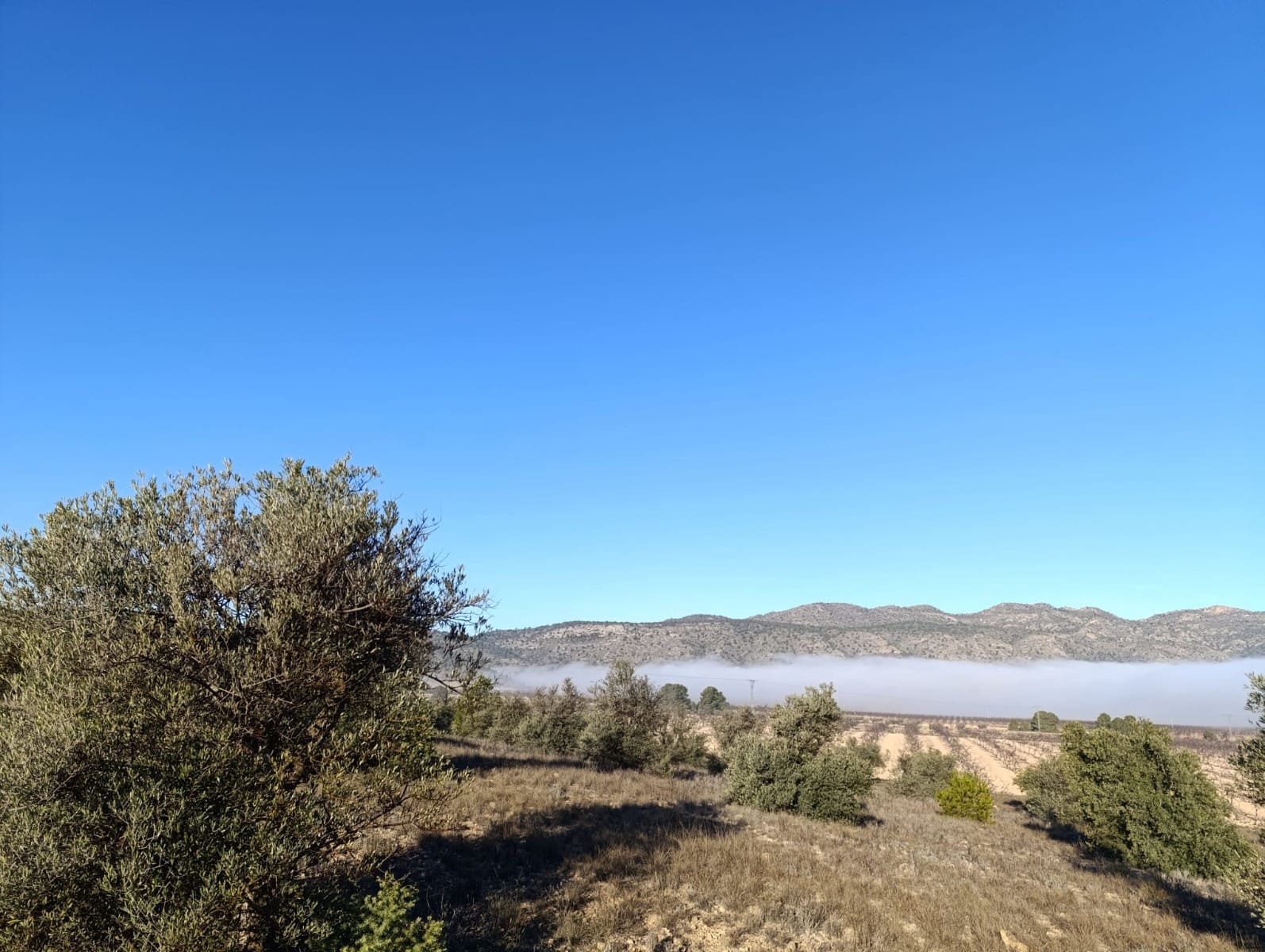 Grunde uden byggetilladelser til salg i Raspay - € 17.500 (Ref: 8742741)