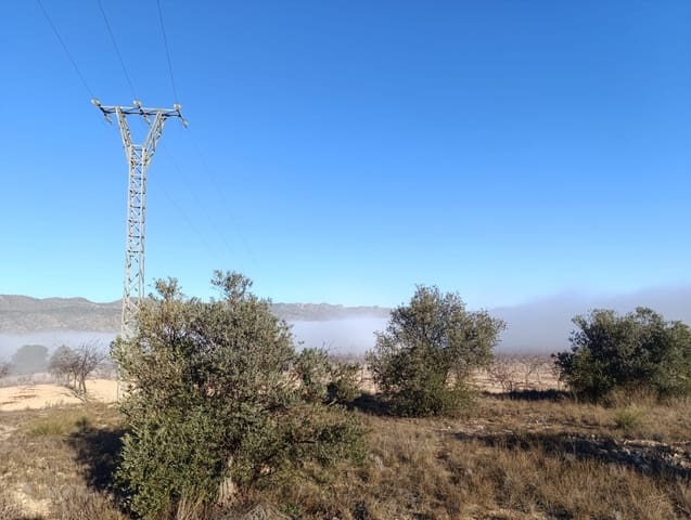 Mark till salu i Raspay, Yecla - 17 500 € (Ref: 8742741)