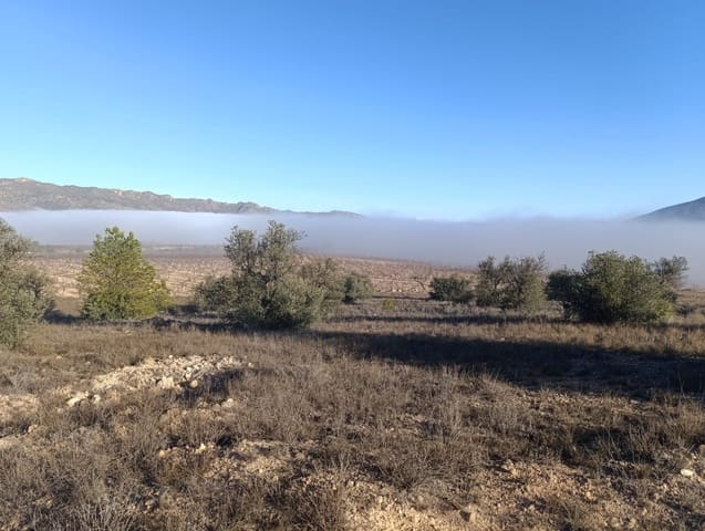 Mark till salu i Raspay, Yecla - 17 500 € (Ref: 8742741)