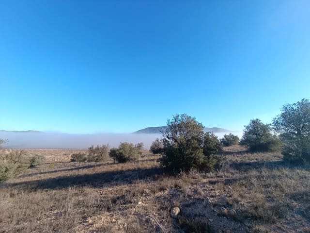 Mark till salu i Raspay, Yecla - 17 500 € (Ref: 8742741)