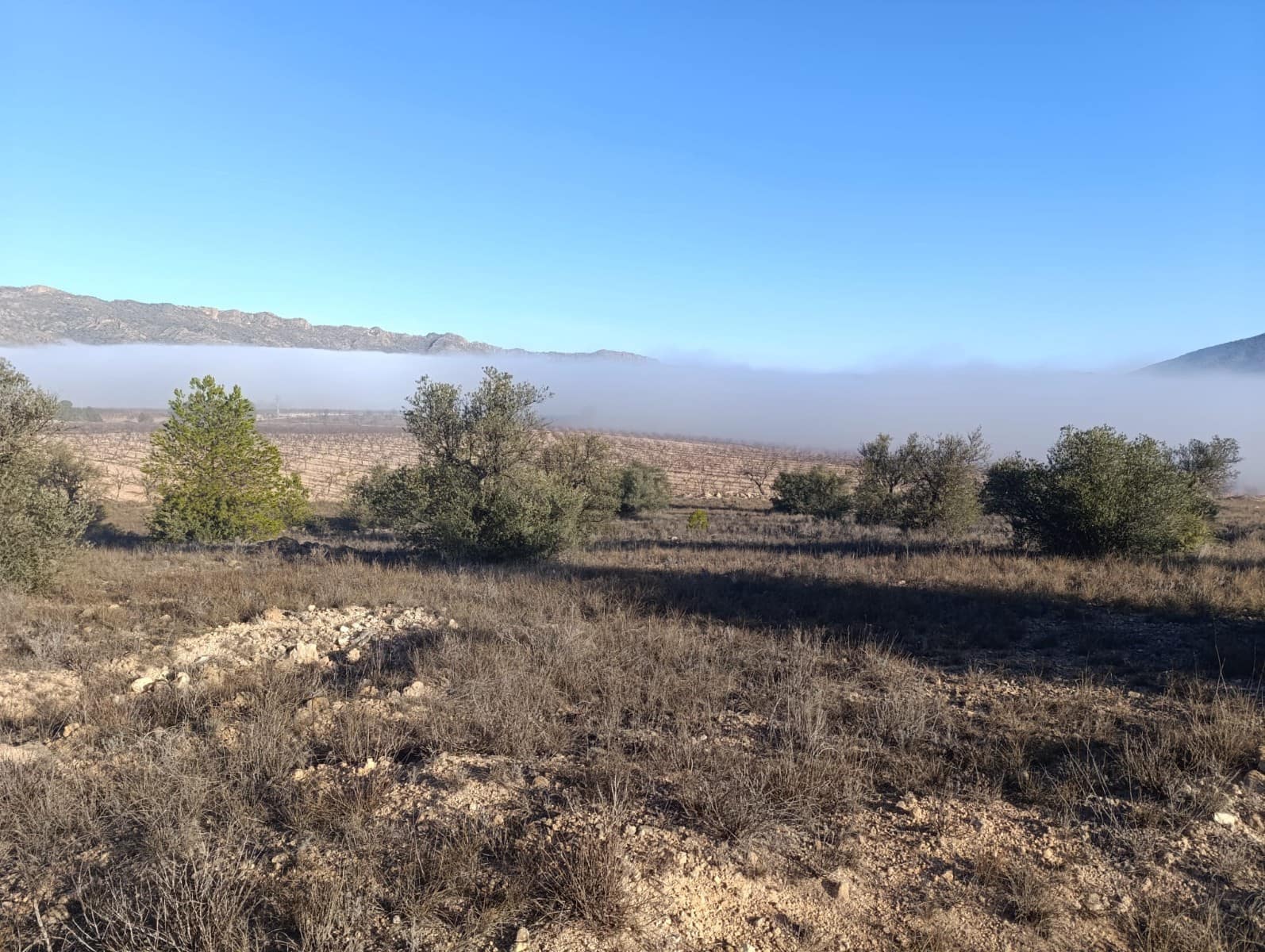 Grunde uden byggetilladelser til salg i Raspay - € 17.500 (Ref: 8742741)