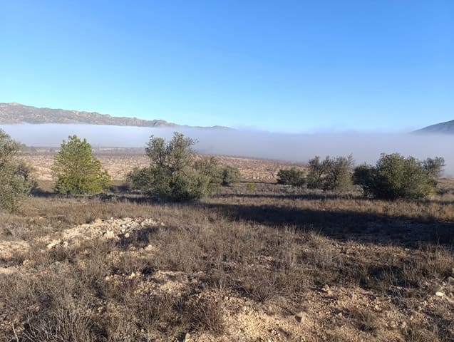 Mark till salu i Raspay, Yecla - 17 500 € (Ref: 8742741)