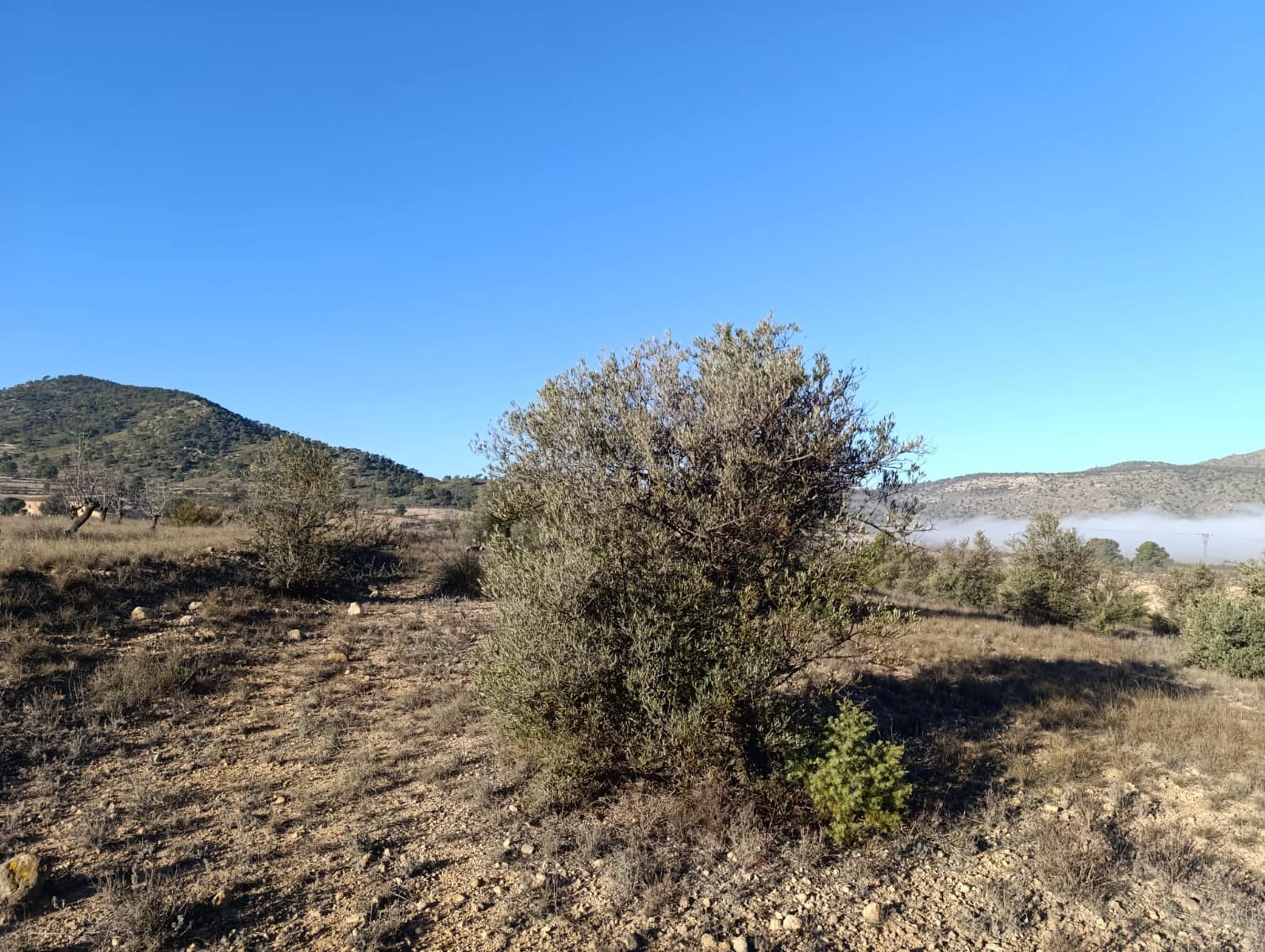 Grunde uden byggetilladelser til salg i Raspay - € 17.500 (Ref: 8742741)